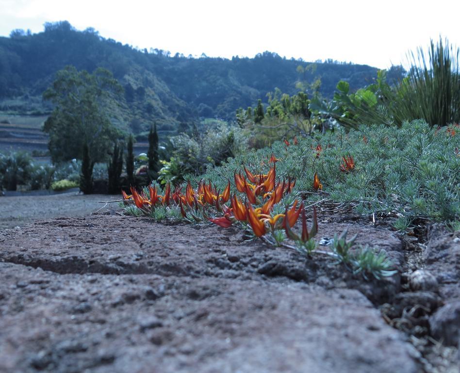 Haciendas Del Valle - Las Kentias Valle de Guerra Dış mekan fotoğraf