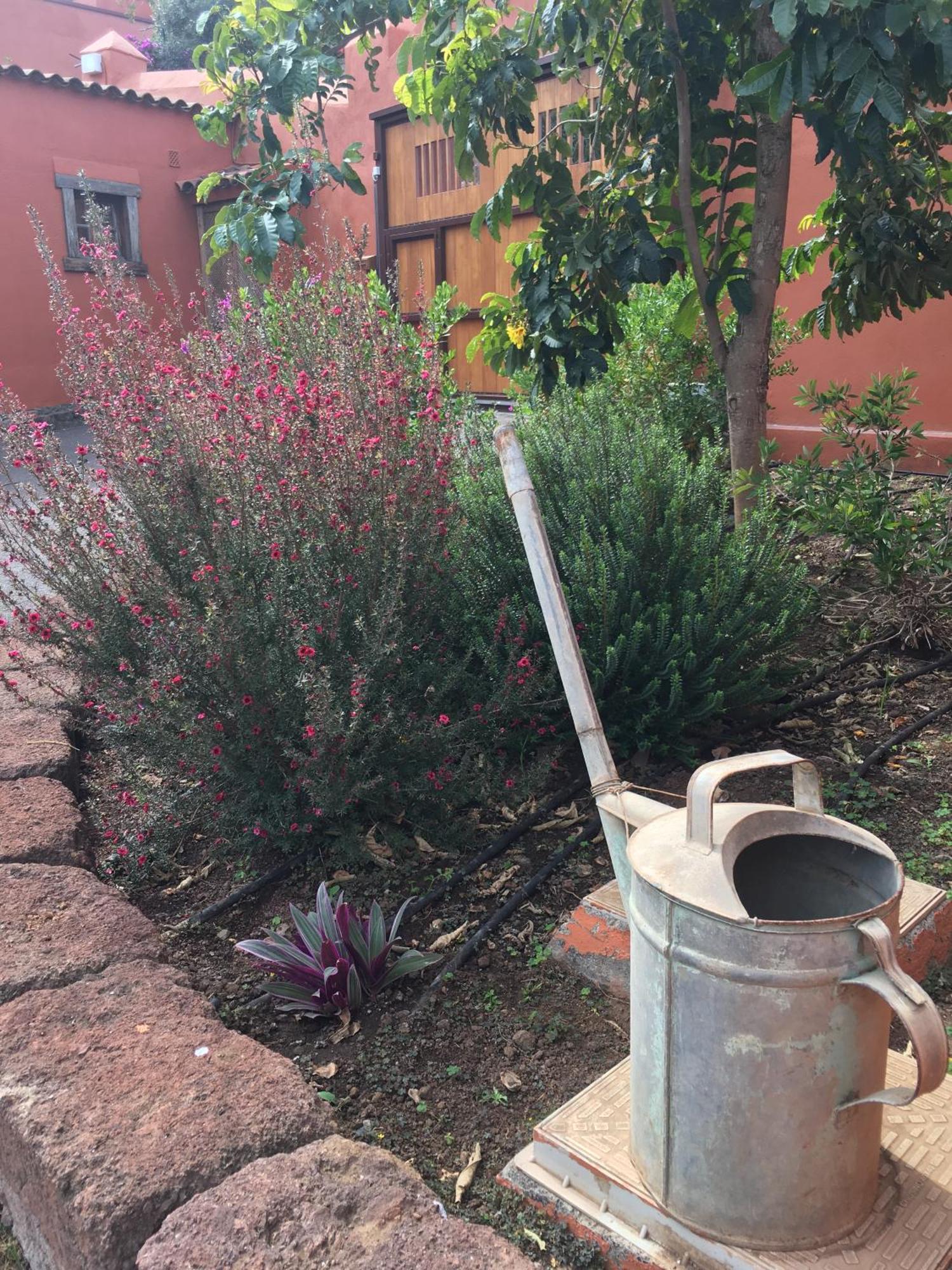 Haciendas Del Valle - Las Kentias Valle de Guerra Dış mekan fotoğraf